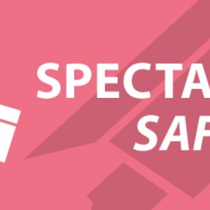 Level 2 Spectator Safety